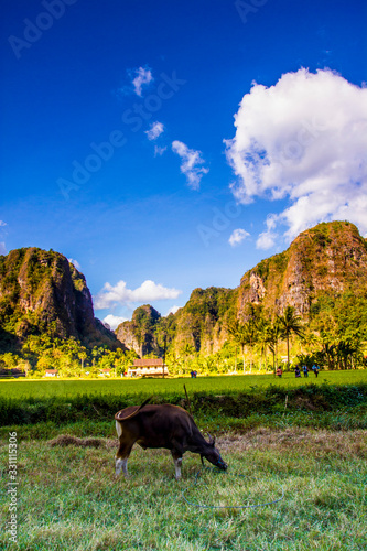 The landscape of Karst topgraphy in Ramang-ramang, South Sulawesi, Indonesia photo