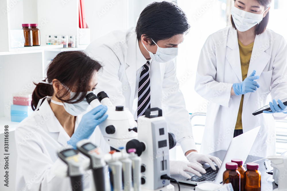 細菌の研究 細菌の研究