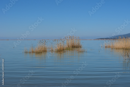 Fototapeta Naklejka Na Ścianę i Meble -  Lake Karla , Greece , wild flora and fauna, in a protected ecological environment