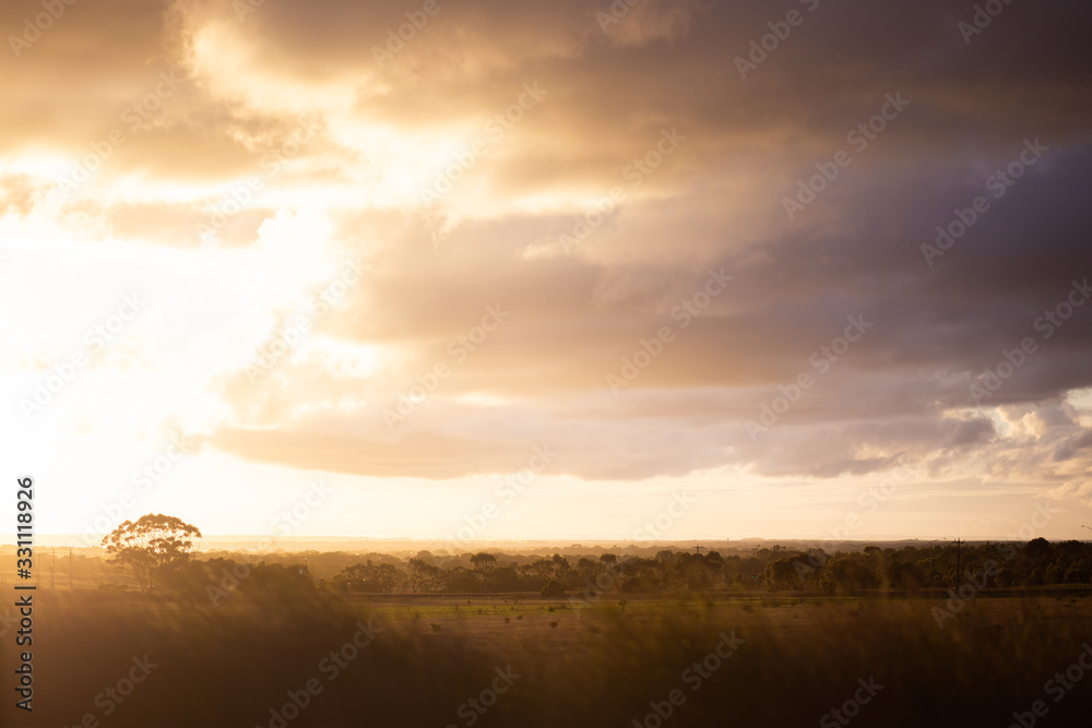 sunset over the field