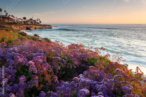 Fototapeta Naklejka Na Ścianę i Meble -  Sunset during spring bloom at La Jolla Beach, San Diego, California.