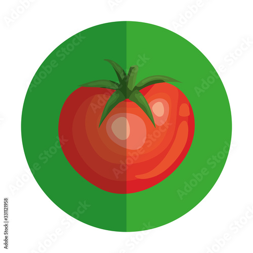 fresh tomato vegetable in frame circular vector illustration design