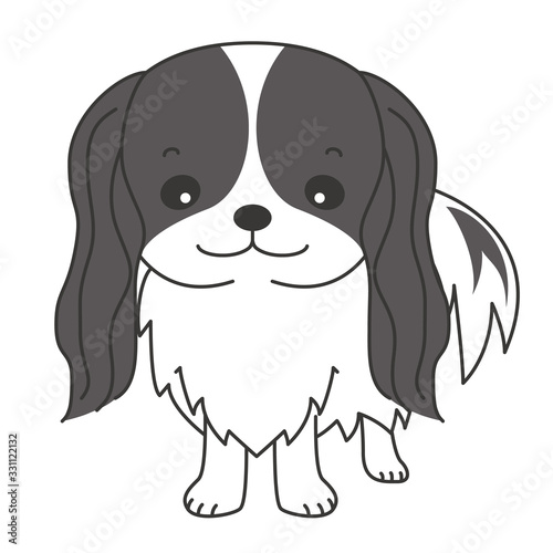 狆　犬　イラスト