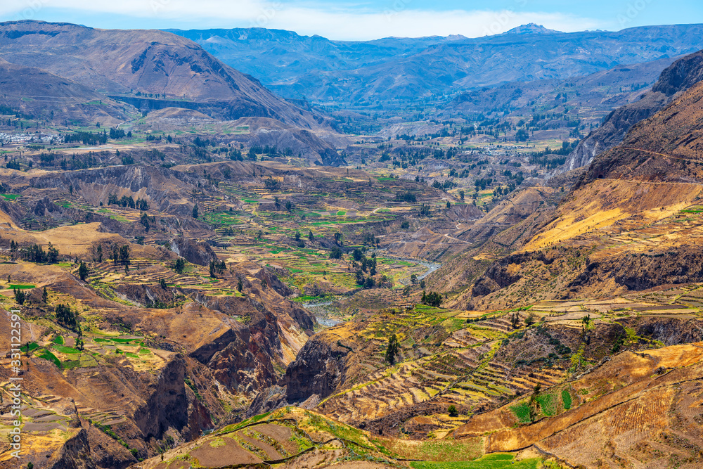 The agriculture fields and Colca river in the majestic Colca Canyon, Arequipa region, Peru.