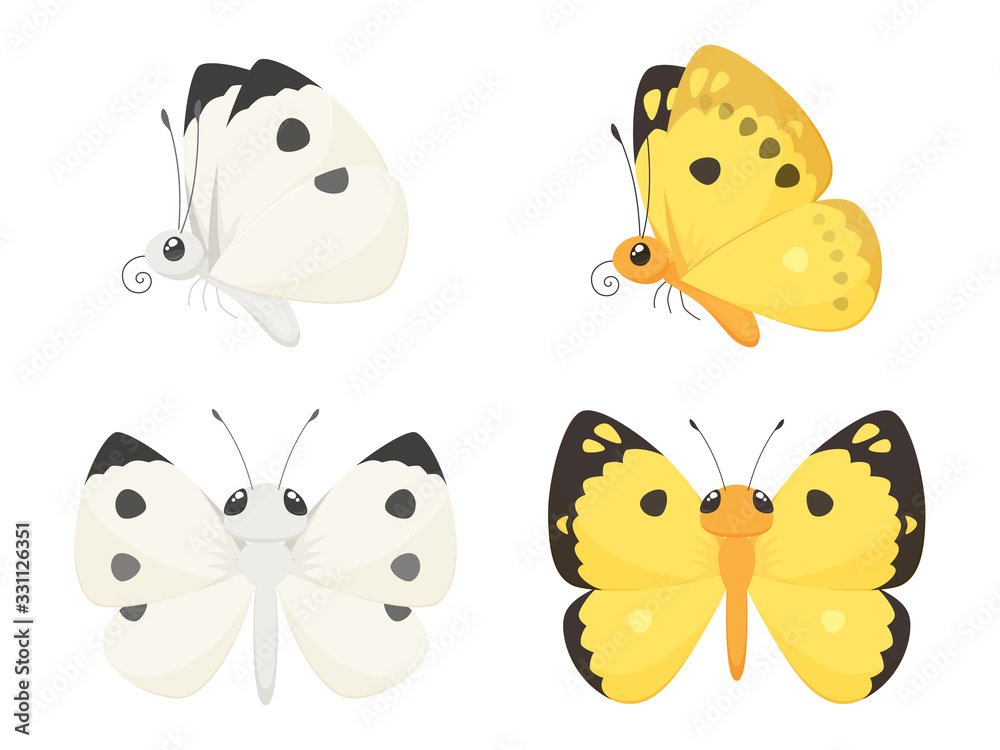 Vecteur Stock モンキチョウとモンシロチョウのイラストセット Adobe Stock