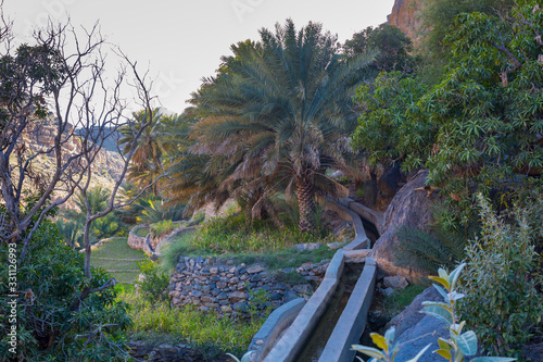 Al Misfat al Abriyyin in the Hajar Mountains, Oman. - Date palm tree oasis and water spring at Misfah al Abriyeen village. Sultanate of Oman photo