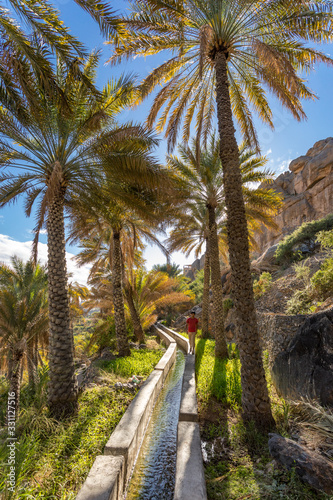 Al Misfat al Abriyyin in the Hajar Mountains, Oman. - Date palm tree oasis and water spring at Misfah al Abriyeen village. Sultanate of Oman