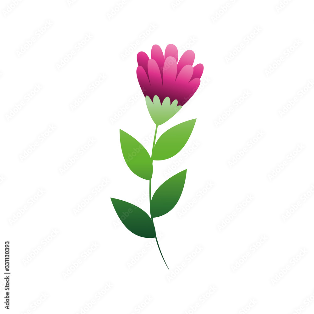cute flower purple with branch and leafs isolated icon vector illustration design cute flower purple with branch and leafs isolated icon vector illustration design