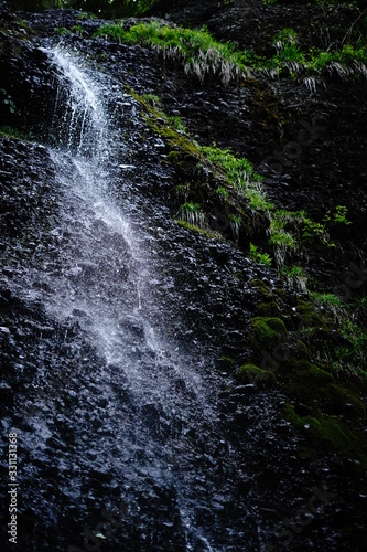waterfall in forest