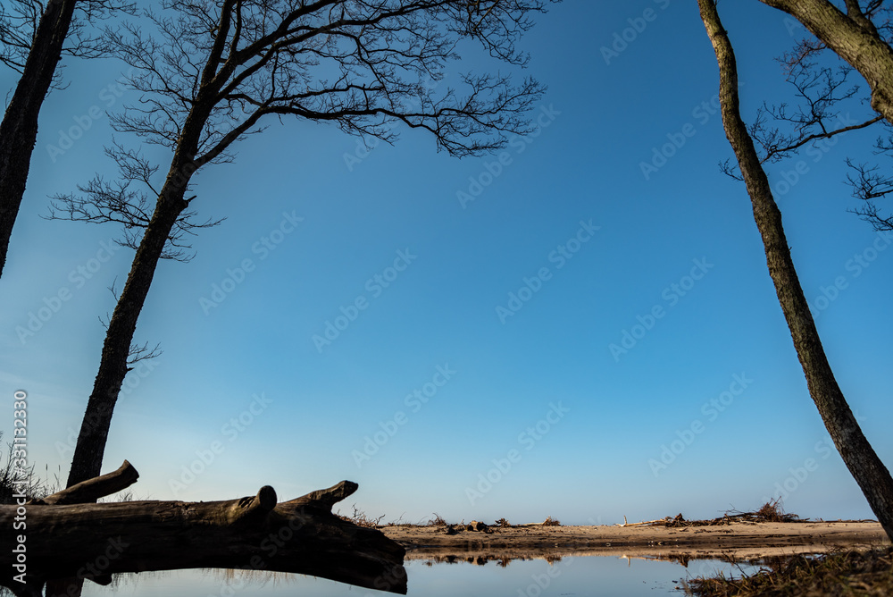 Small river flowing to the Baltic sea.