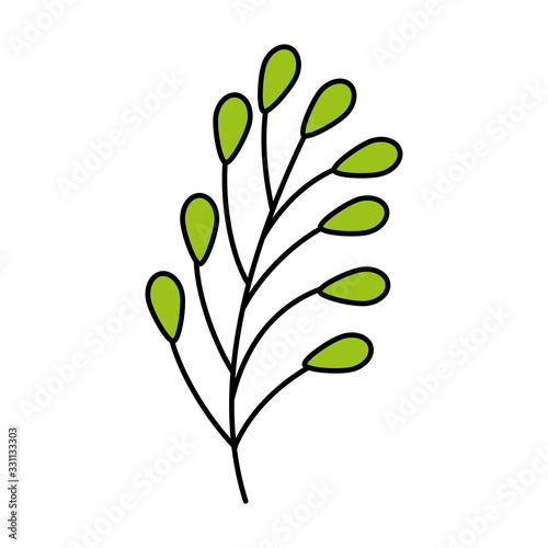 branch with leafs natural isolated icon vector illustration design