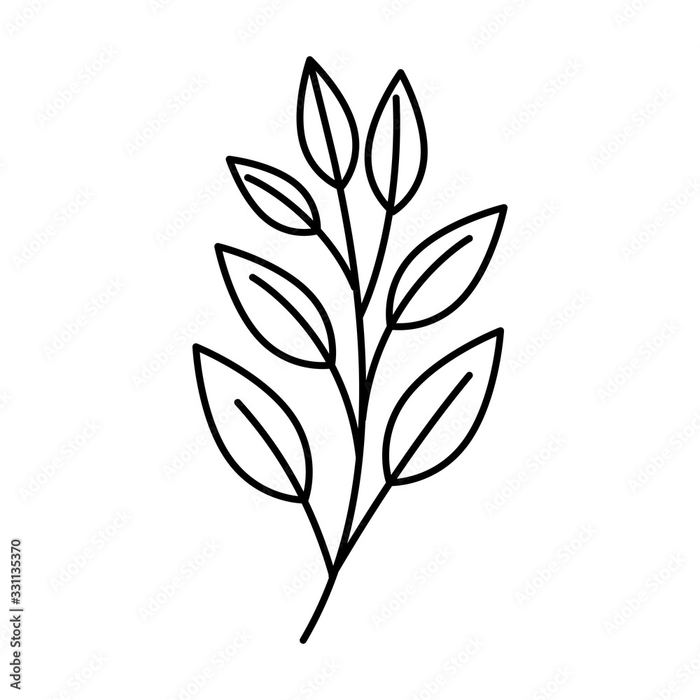 branch with leafs natural line style vector illustration design branch with leafs natural line style vector illustration design