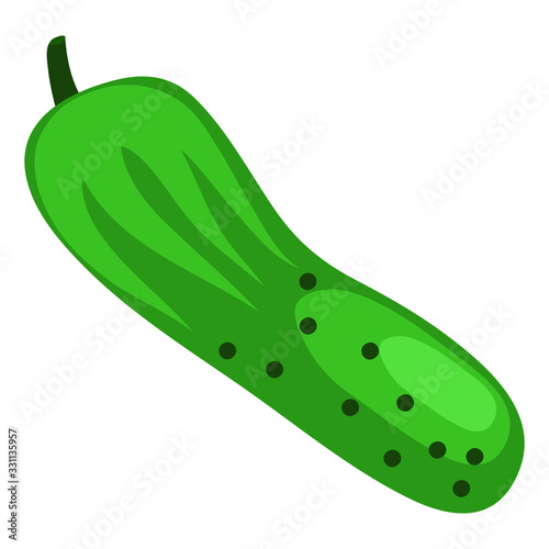 Vector illustration of cucumber icon flat design.  Illustration of a cucumber, icon, isolated object on a white background. Vegetarianism, healthy food, organic vegetables . For books, magazines