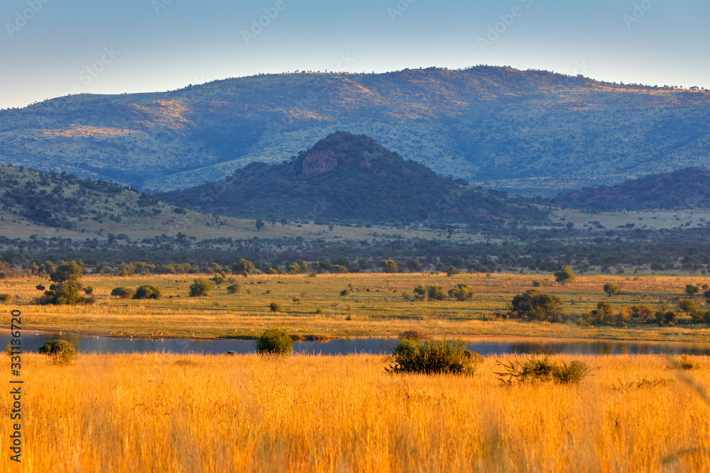 Landscape in Pilanesberg NP, South Africa. Golden grass meadow with water lake a mountain in the background. Travelling in Africa. Summer day in wild nature.
