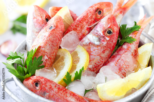 Fresh striped red mullet in a tin basket with slices of lemon and parsley leaves photo