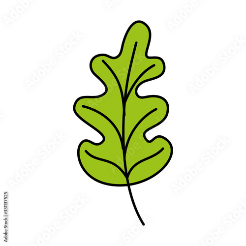 leaf nature ecology isolated icon vector illustration design