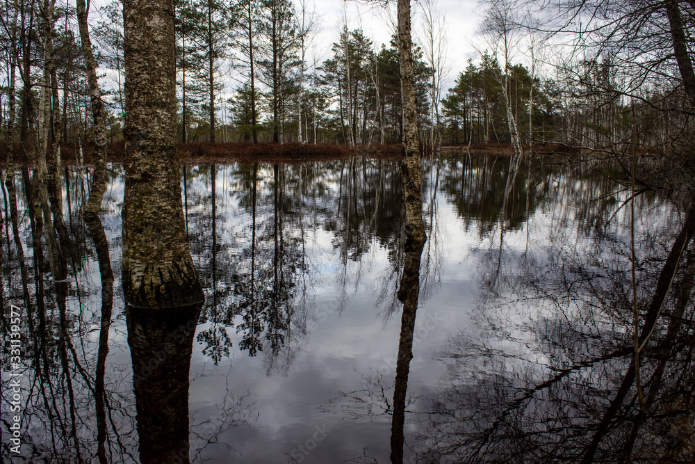 Majestic view tower in swamp in day. Calm and peaceful place for meditation
