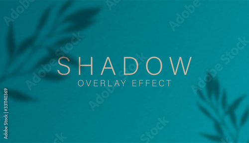 Shadow overlay effect. Transparent soft light and shadows from branches, plant, foliage and leaves. Mockup of transparent leaf shadow overlay effect and natural lightning. Vector mock up gradient mesh