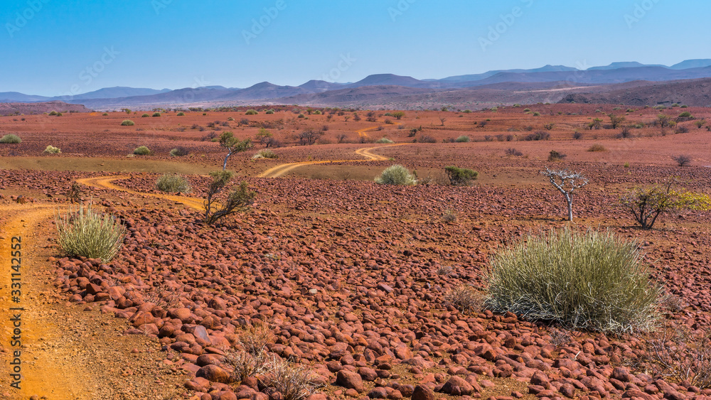 Scenic view of the Palmwag Concession Area with milkbushes in Namibia in Africa.