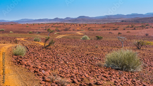 Scenic view of the Palmwag Concession Area with milkbushes in Namibia in Africa. photo