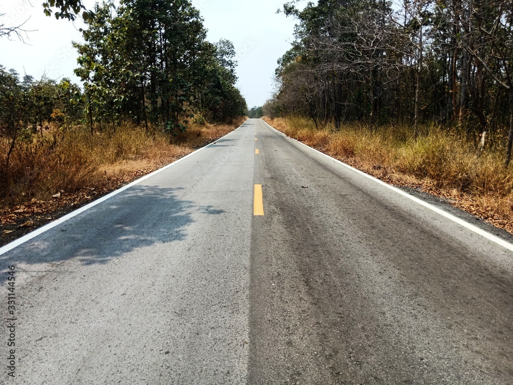 Summer forest road in Asia The surface is asphaltic concrete. Summer forest road in Asia The surface is asphaltic concrete.