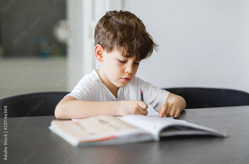 Portrait of schoolboy doing a homework Portrait of schoolboy doing a homework