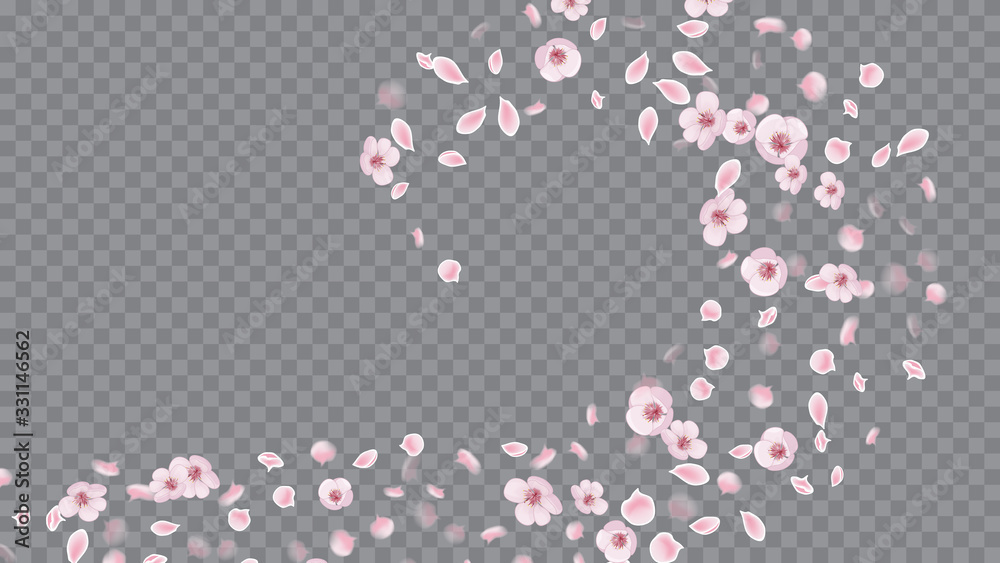 Spring Flowers Blooming. Realistic Flying Petals For Banner Design. Great Design For Any Purposes. Pink on Transparent.