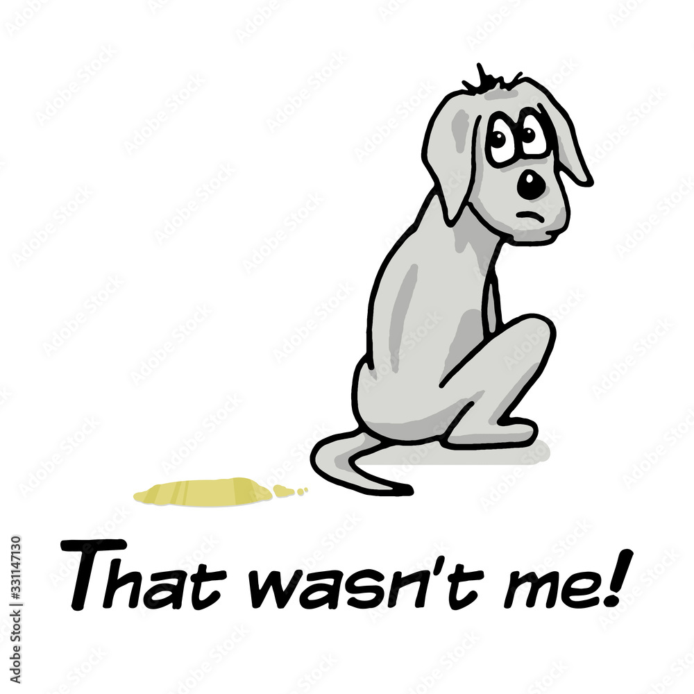 Obraz premium dog with pee and the text that wasn't me
