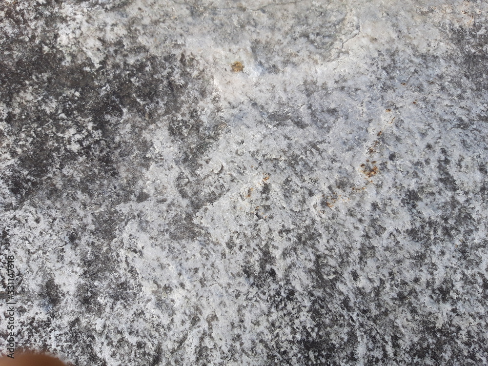 gneiss texture 4 gneiss texture 4