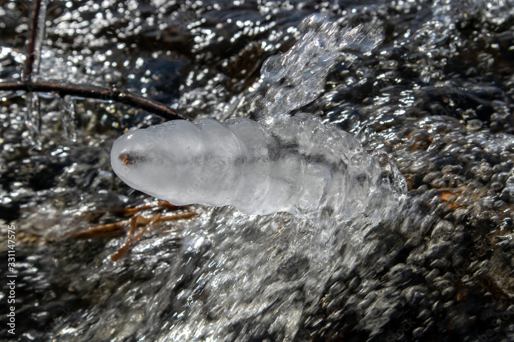Fototapeta premium ice covered twig on lake shore