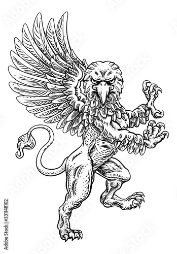 A griffin also known as a g...