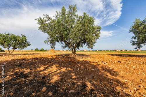 Viaggio in Provenza