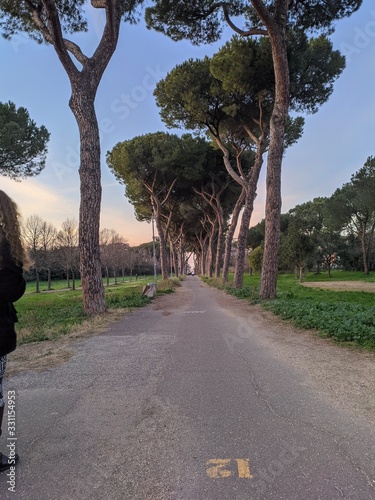 alley in park
