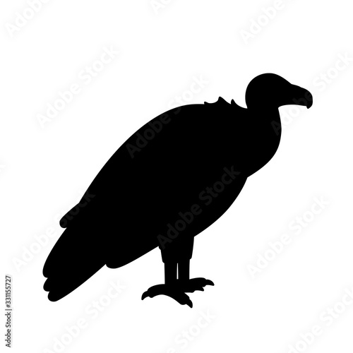 Black silhouette of vulture isolated on white background