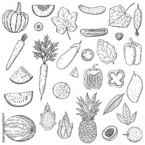 Set of fruits and vegetables. Vector cartoon illustration. Isolated objects on a white background. Hand-drawn style. Vegetarian food.