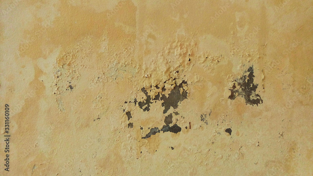 weathered wall with mold and cracked paint weathered wall with mold and cracked paint