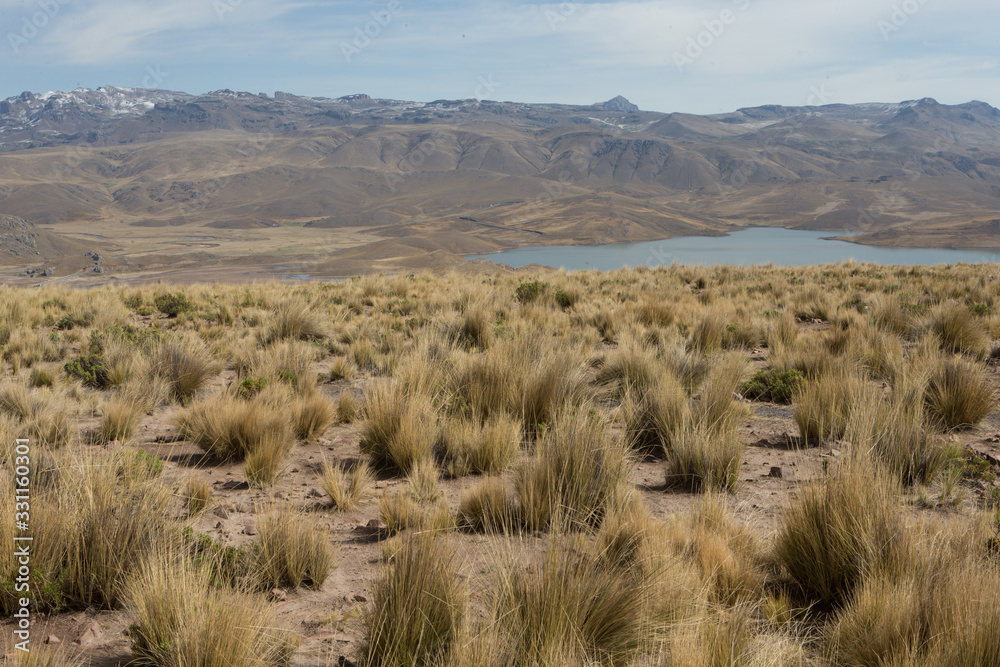 Lake Lagunillas Andes Peru desert