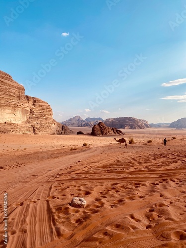 Camels and Deserts