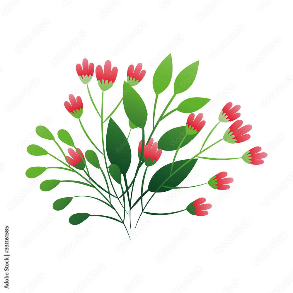 cute flowers red color with branches and leafs vector illustration design