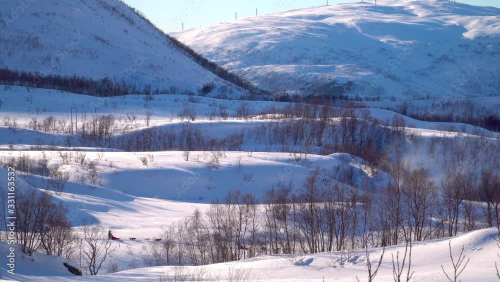 Kvaloya, Troms og Finnmark / Norway: Dog sledding in a sunny day Kvaloya, Troms og Finnmark / Norway: Dog sledding in a sunny day
