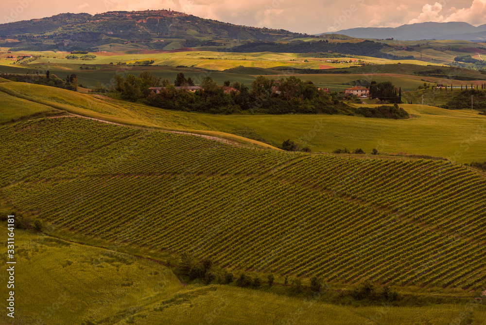 Tuscany, landscape panorama of the city of Volterra with hills and vineyards in the foreground