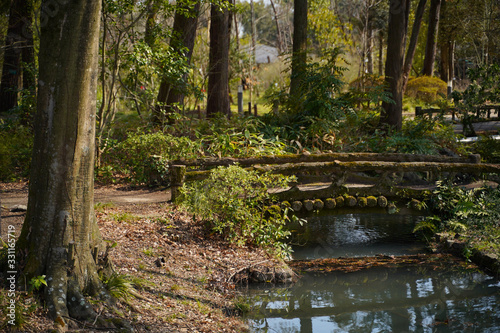 KYOTO BOTANICAL GARDEN