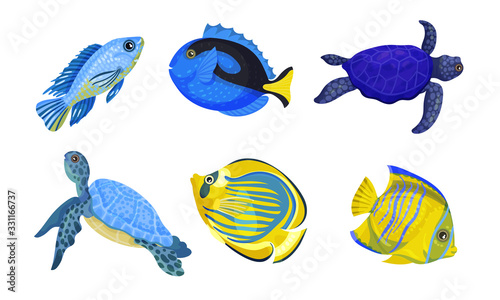 Exotic Fish and Turtles with Bright Colouring Vector Set