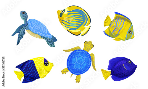 Exotic Fish and Turtles with Bright Colouring Vector Set