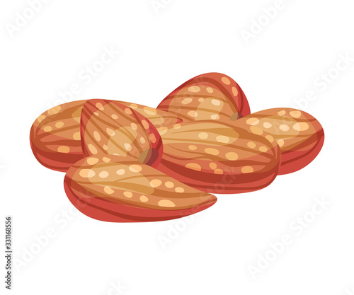 Whole Almond Kernel Without Nutshell Vector Illustration. Organic Food Ingredient