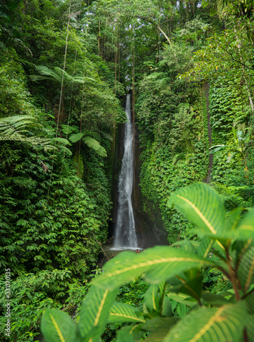 Fototapeta Naklejka Na Ścianę i Meble -  beautiful waterfall in ubud, bali.