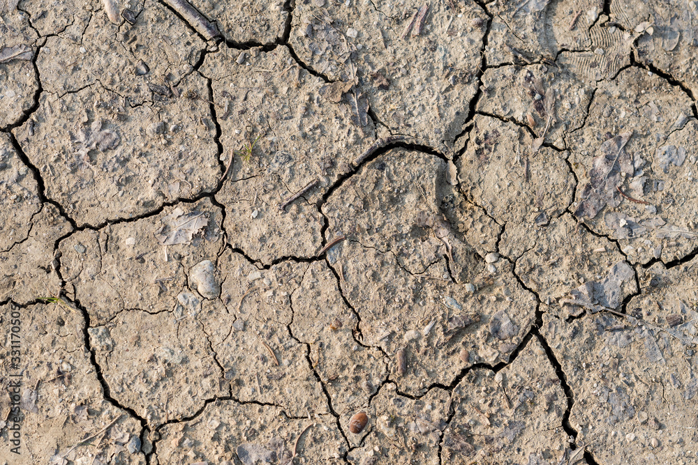 Fototapeta premium dry cracked earth for backgrounds
