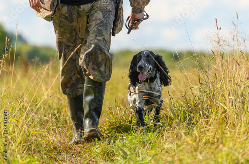 The happy hunting dog is walking next to its caucasian owner in the countryside. photo