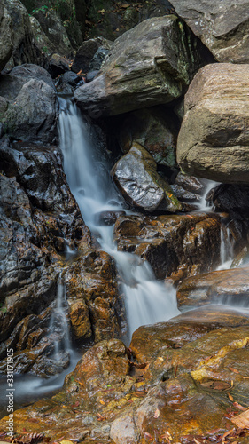 waterfall in the forest