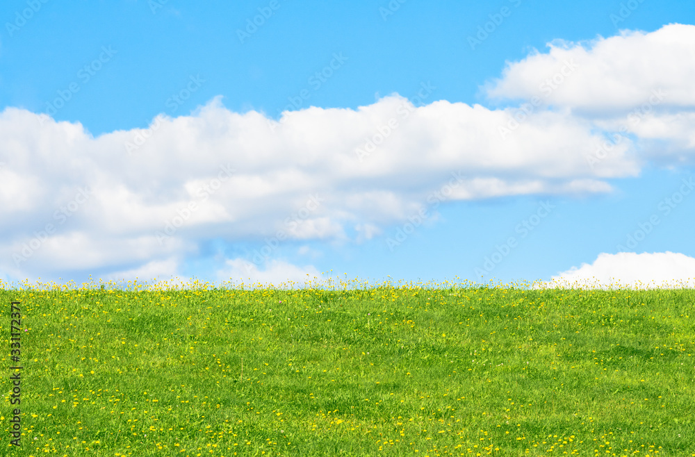 Field with grass and flowers on a background of blue sky with the clouds Field with grass and flowers on a background of blue sky with the clouds